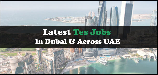 TES Jobs